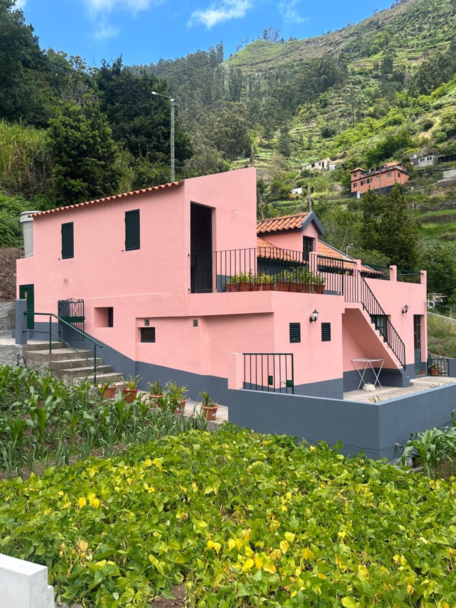 Casa Rosa Vila Ribeira Brava Exterior foto