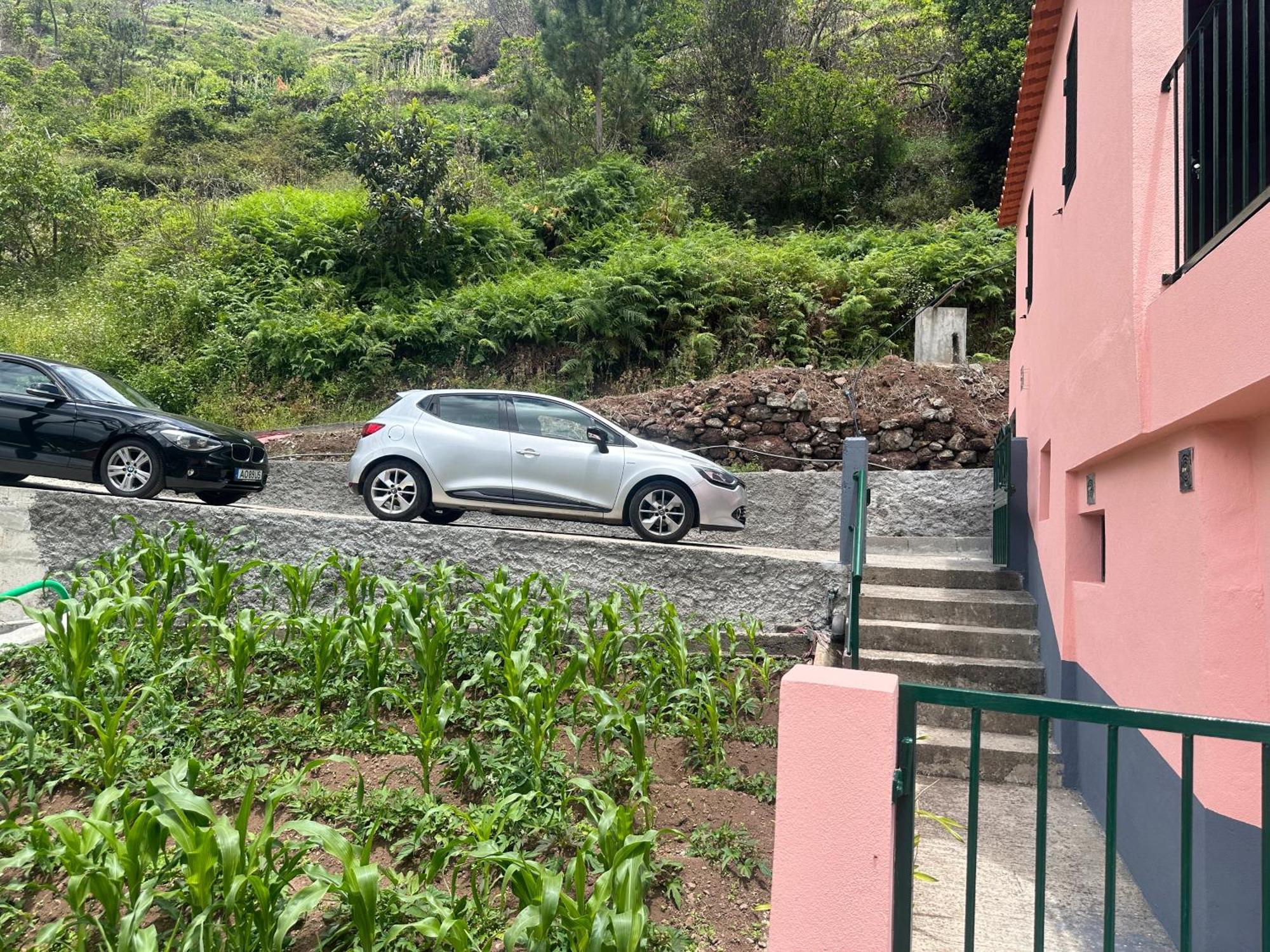 Casa Rosa Vila Ribeira Brava Exterior foto