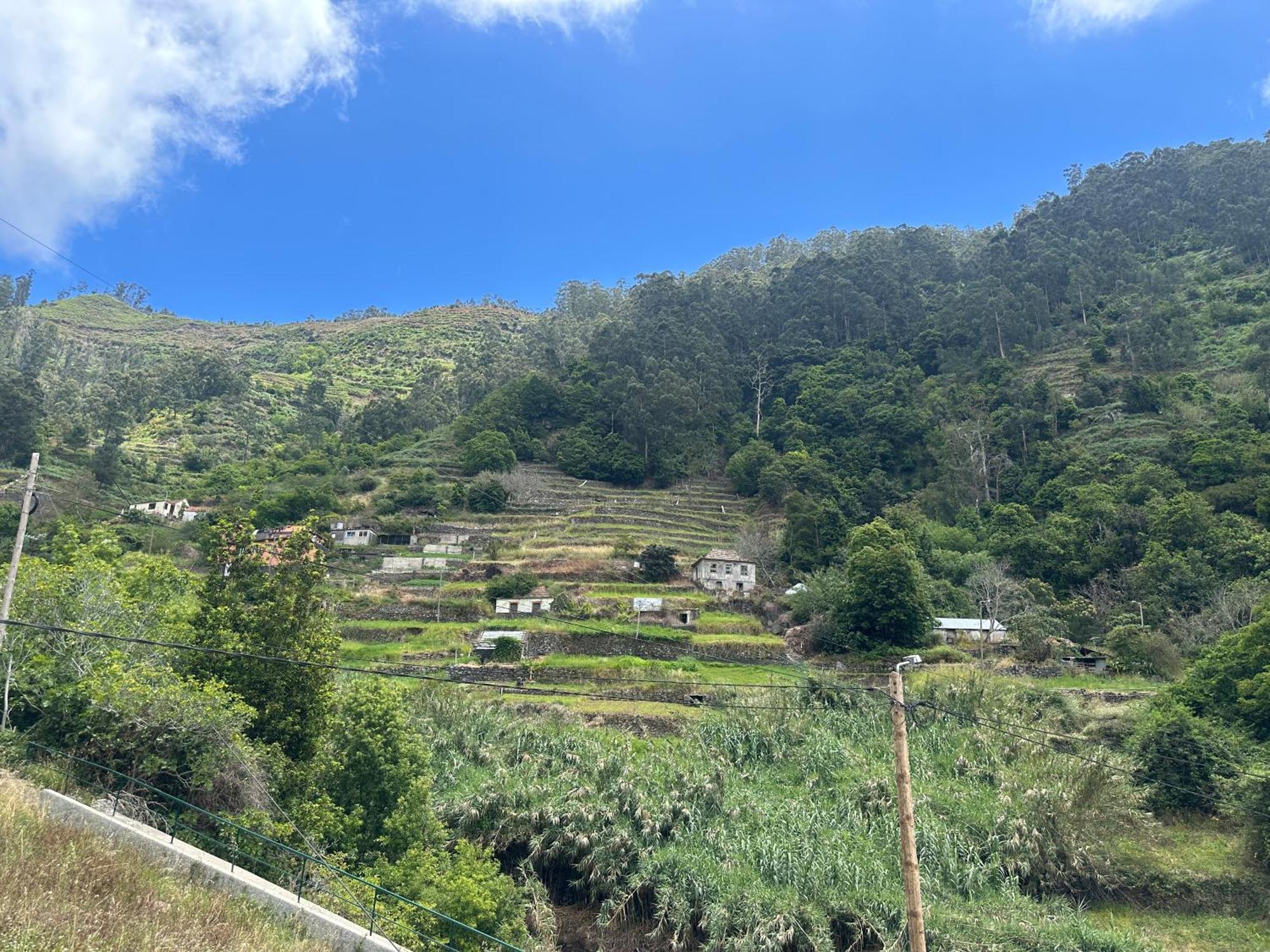 Casa Rosa Vila Ribeira Brava Exterior foto